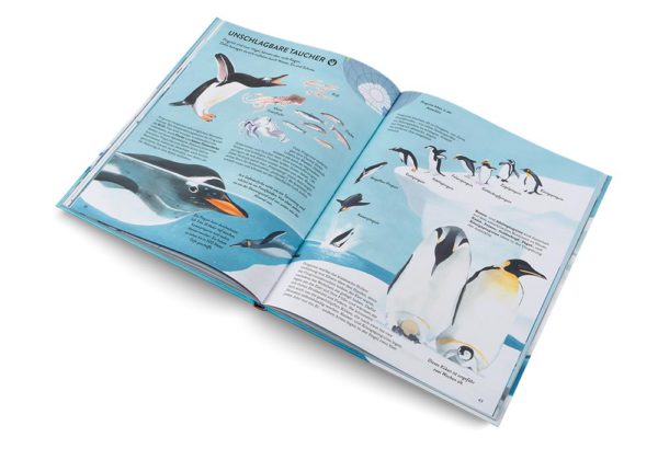 Innenseiten des Buches Pinguine und Eisbären