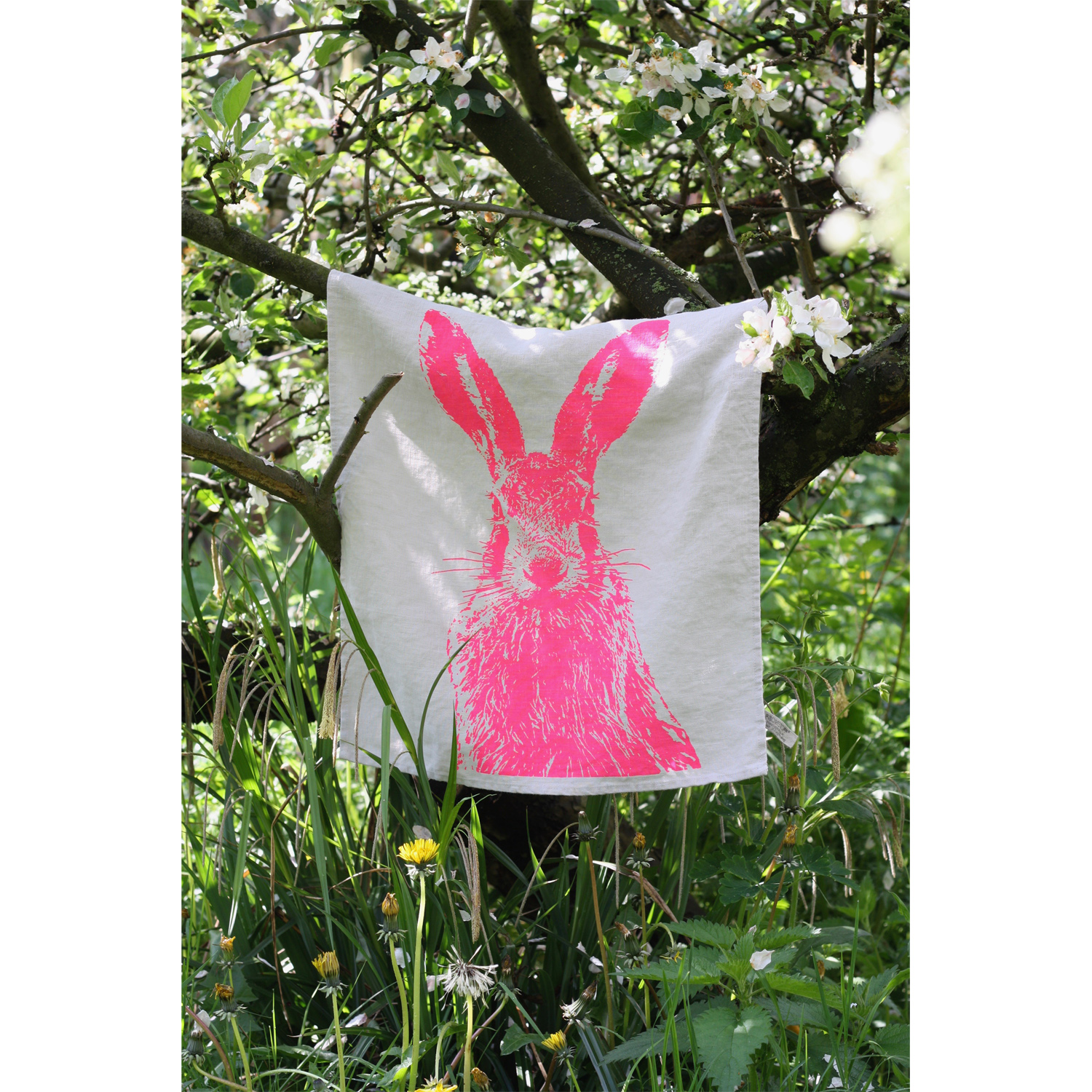 Frohstoff_Mood_GTLG_FH_neonpink